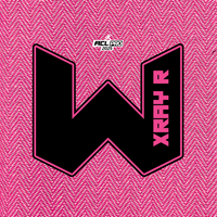 2026 WTF Cornhole X-RAY Pink carpet - ACL Pro Stamped Cornhole Bags - Set of 4 bags