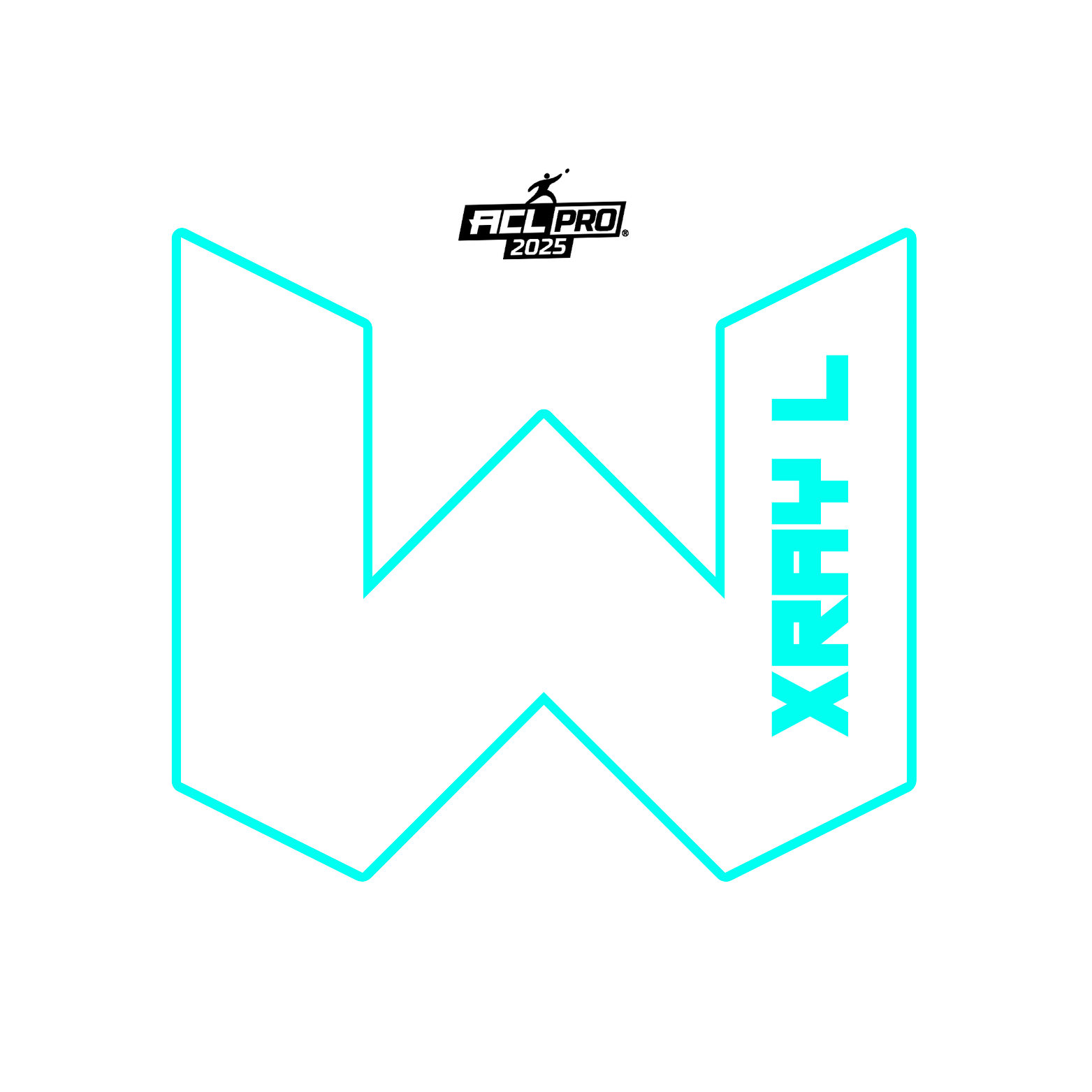 2026 WTF Cornhole X-RAY Aqua carpet - ACL Pro Stamped Cornhole Bags - Set of 4 bags