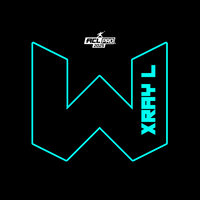 2026 WTF Cornhole X-RAY Aqua carpet - ACL Pro Stamped Cornhole Bags - Set of 4 bags