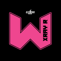 2026 WTF Cornhole X-RAY Pink carpet - ACL Pro Stamped Cornhole Bags - Set of 4 bags