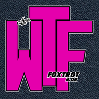 2026 WTF Cornhole Foxtrot 2.0 Expanded - ACL Pro Stamped Cornhole Bags - Set of 4 bags