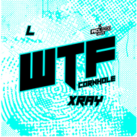 2026 WTF Cornhole X-RAY Aqua carpet - ACL Pro Stamped Cornhole Bags - Set of 4 bags