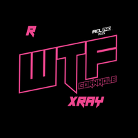 2026 WTF Cornhole X-RAY Pink carpet - ACL Pro Stamped Cornhole Bags - Set of 4 bags