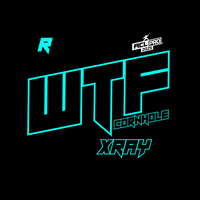2026 WTF Cornhole X-RAY Aqua carpet - ACL Pro Stamped Cornhole Bags - Set of 4 bags