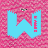 2026 WTF Cornhole X-RAY Pink carpet - ACL Pro Stamped Cornhole Bags - Set of 4 bags