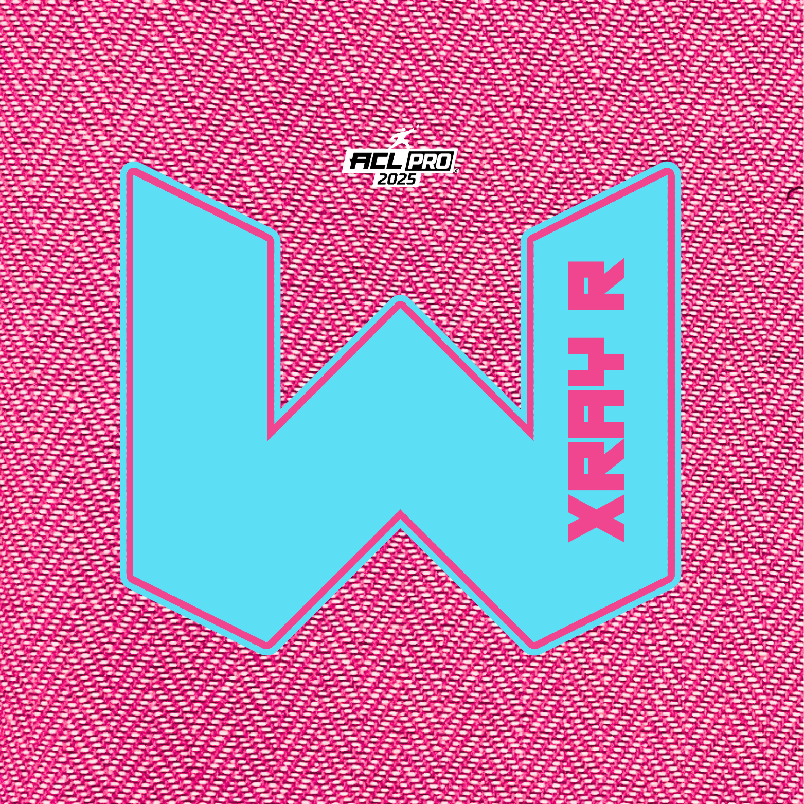 2026 WTF Cornhole X-RAY Pink carpet - ACL Pro Stamped Cornhole Bags - Set of 4 bags