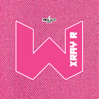 2026 WTF Cornhole X-RAY Pink carpet - ACL Pro Stamped Cornhole Bags - Set of 4 bags