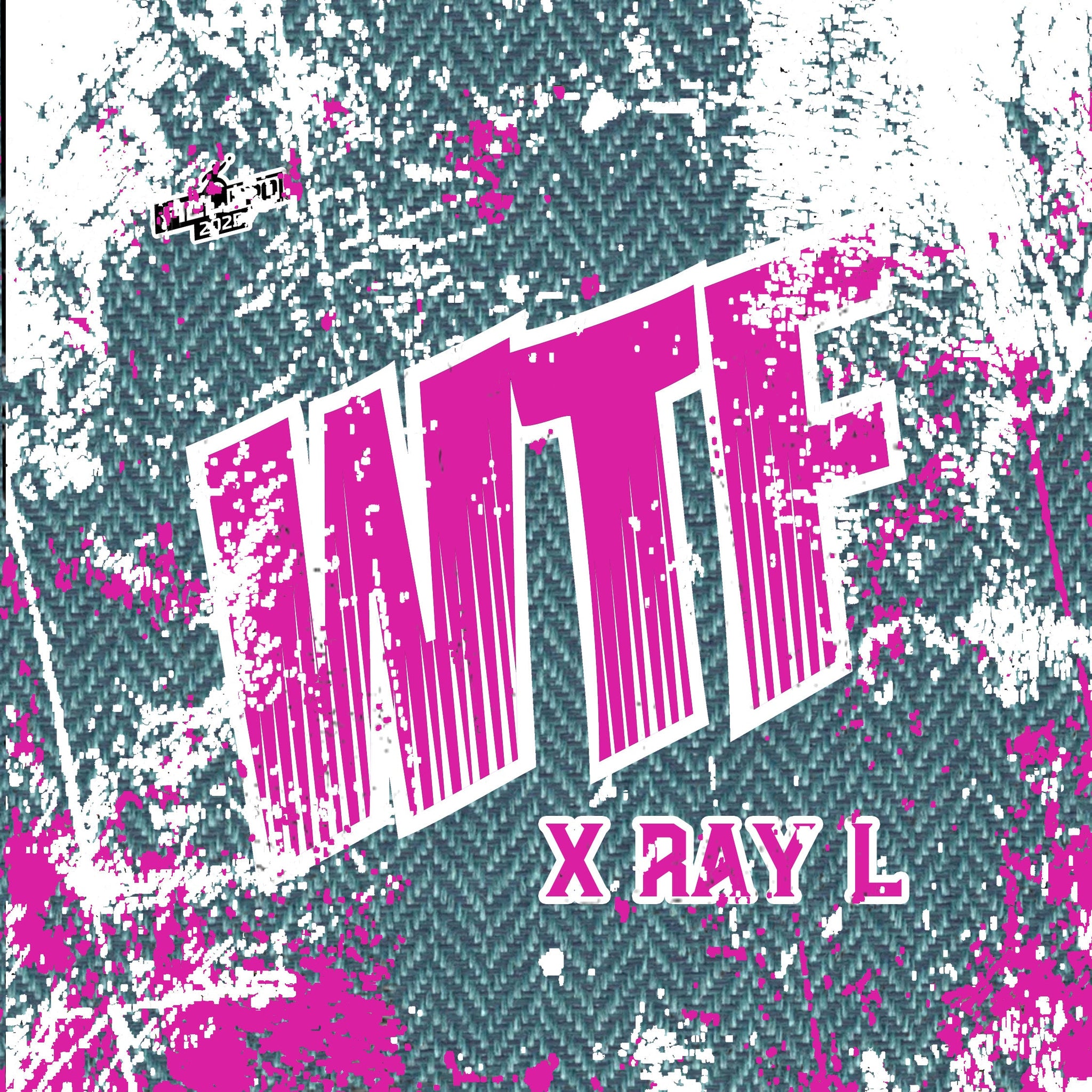 2026 WTF Cornhole X-RAY - ACL Pro Stamped Cornhole Bags - Set of 4 bags