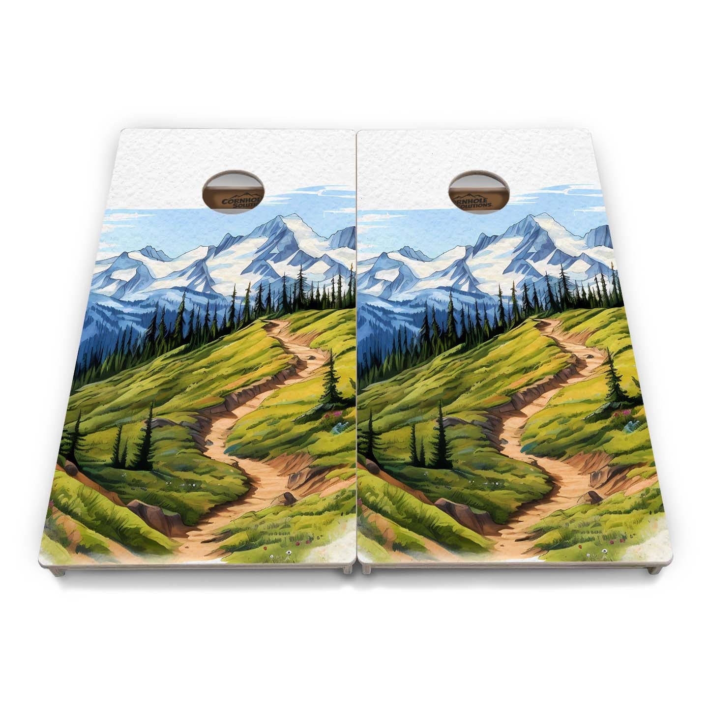 National Parks Cornhole Boards - Professional Tournament Series (10 different options)