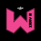 2026 WTF Cornhole X-RAY Pink carpet - ACL Pro Stamped Cornhole Bags - Set of 4 bags