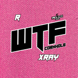 2026 WTF Cornhole X-RAY Pink carpet - ACL Pro Stamped Cornhole Bags - Set of 4 bags