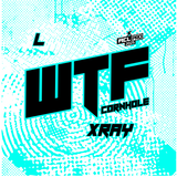2026 WTF Cornhole X-RAY Aqua/Black carpet - ACL Pro Stamped Cornhole Bags - Set of 4 bags