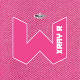 2026 WTF Cornhole X-RAY Pink carpet - ACL Pro Stamped Cornhole Bags - Set of 4 bags