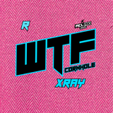 2026 WTF Cornhole X-RAY Pink carpet - ACL Pro Stamped Cornhole Bags - Set of 4 bags