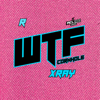2026 WTF Cornhole X-RAY Pink carpet - ACL Pro Stamped Cornhole Bags - Set of 4 bags
