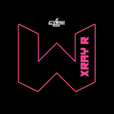 2026 WTF Cornhole X-RAY Pink carpet - ACL Pro Stamped Cornhole Bags - Set of 4 bags