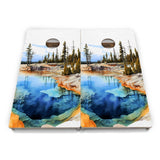 National Parks Cornhole Boards - Professional Tournament Series (10 different options)